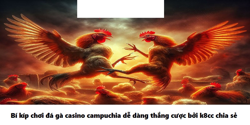 Bí kíp chơi đá gà casino campuchia dễ dàng thắng cược bởi k8cc chia sẻ