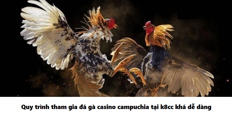 Quy trình tham gia đá gà casino campuchia tại k8cc khá dễ dàng