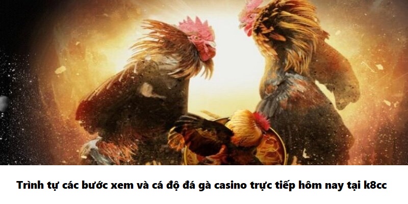 Trình tự các bước xem và cá độ đá gà casino trực tiếp hôm nay tại k8cc