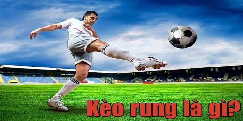 Có nhiều loại kèo rung cho người chơi lựa chọn