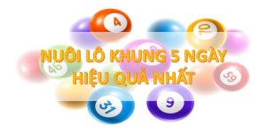 Độc thủ lô khung 5 ngày mẹo soi